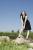 maya posch hermafrodiet13 resized